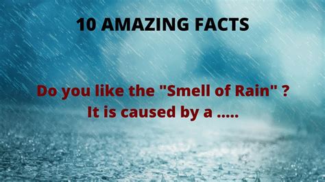 10 Amazing Facts Do You Love The Smell Of Rain Here Is The Fact