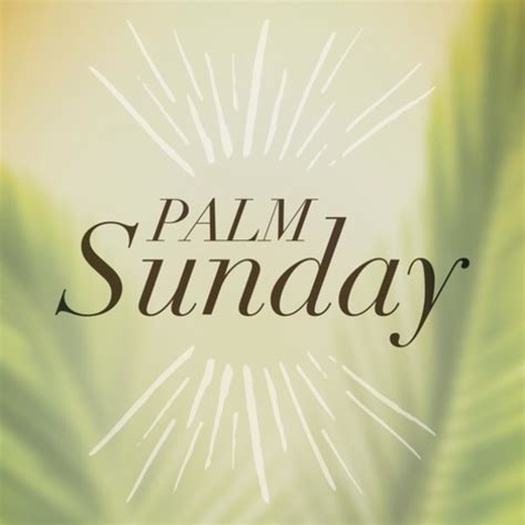 Traditions Palm Sunday Banner Church Banners Outreach Marketing