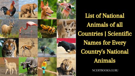List Of National Animals Of All Countries In The World And Its
