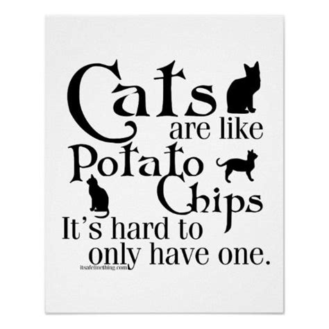 Cats Are Like Potato Chips Poster Diy Quotes Cat Quotes Funny