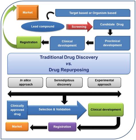 Drug Repurposing DR An Emerging Approach In Drug Discovery IntechOpen