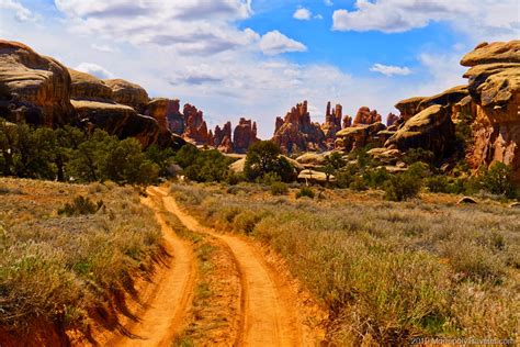 Photos From The Trailthe Needles In Canyonlands National Park