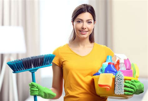 House Cleaning Services Fundamentals Explained Homey Furniture Design