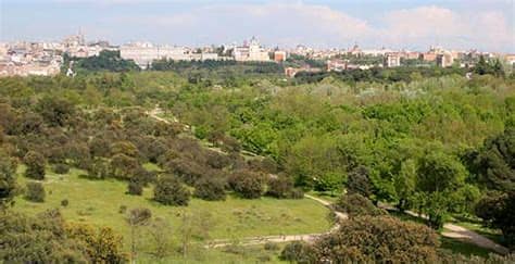 Ya sea que desee practicar deportes, pasar tiempo en el agua, disfrutar de una vibrante vida nocturna, emprender un viaje culinario, irse de compras, aprender sobre la cultura dominicana o. Historia y Vida de la Casa de Campo de Madrid