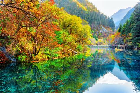 Autumn Forest And Lake In The Fall Season Stock Photo Image Of Leaves