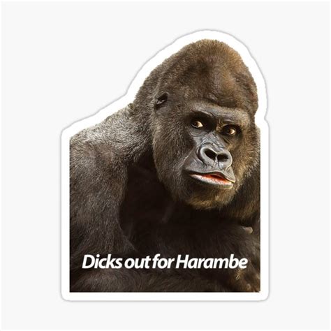 Dicks Out For Harambe Stickers Redbubble