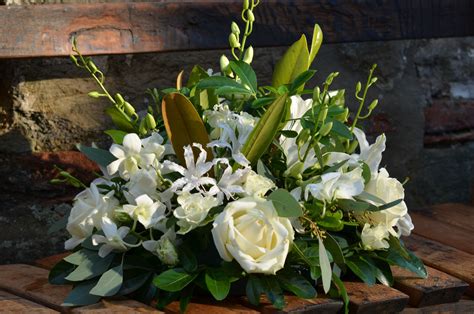 We did not find results for: Pin on Floral Tributes