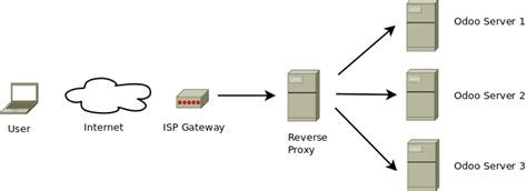Reverse proxies stand between clients and a network service, such as a website. Odoo - Reverse Proxy HowTo