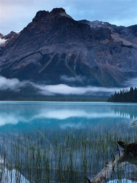 Emerald Lake Peaks Bing Wallpaper Download