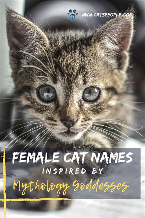 Baby name encyclopedia from the baby name wizard: 15 Goddess Names for Female Cats in 2020 | Cat names, Cat ...