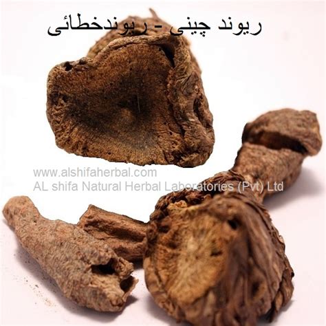 Revand Chini Rhubarb Roots Alshifa Natural Herbal Pharma