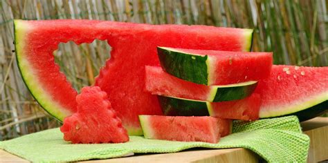 die sechs besten wassermelonen rezepte apomedica blog
