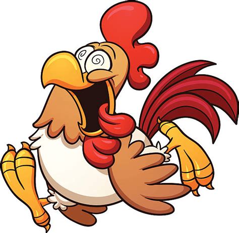 cartoon of the crazy chicken illustrations royalty free vector graphics and clip art istock