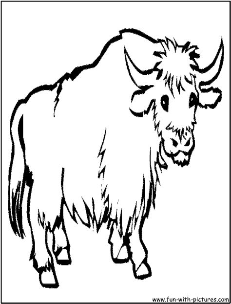 Coloring Picture Of Yak