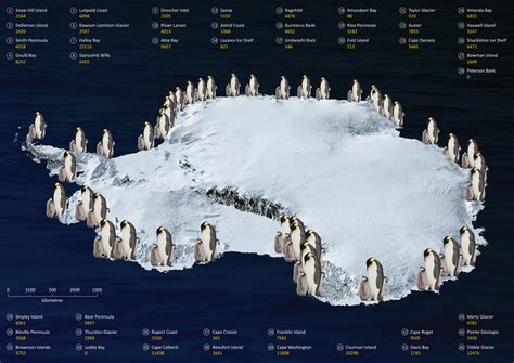 Scientists Count Penguins By Satellite Find Twice As Many As Expected
