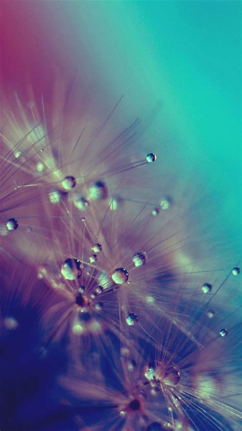 Tap And Get The Free App Blurred Nature Dew Macro Ombre