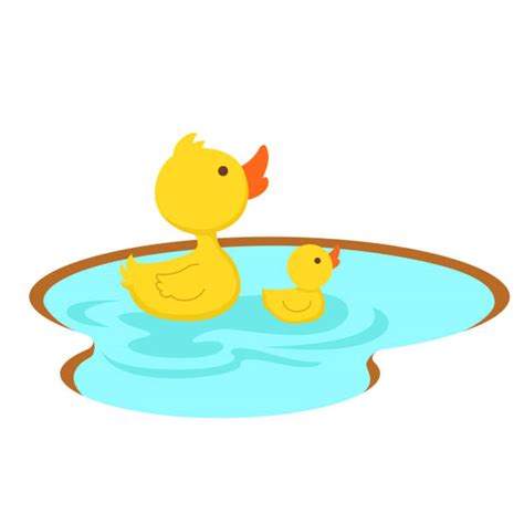 A Duck Pond Illustrations Royalty Free Vector Graphics And Clip Art Istock