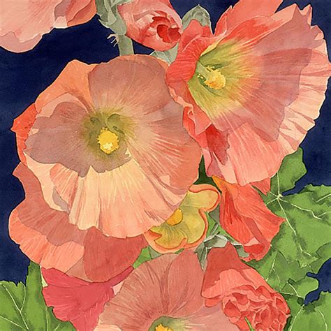 Hollyhock Watercolor Paintings At Getdrawings Free Download