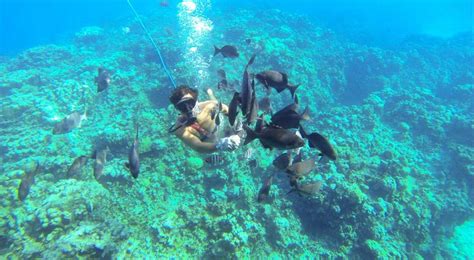 Uss Kittiwake Sunken Ship And Reef Snorkel Grand Cayman Cayman
