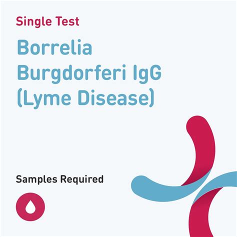 Medical Diagnosis Borrelia Burgdorferi Igg Lyme Disease