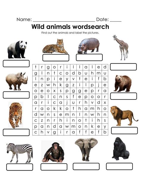 Wild Animals Wordsearch Activity Live Worksheets