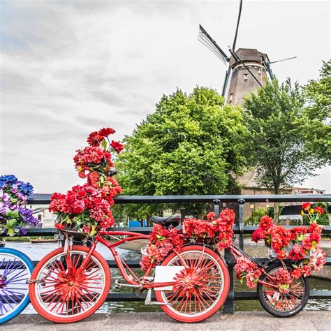 Bicycles Very Decorated With Flowers Amsterdam The De Gooyer Mill