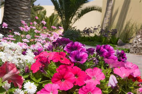 Book your stay at g guest house itaewon in seoul in seoul today. 50 pictures of Cornerstone Guesthouse, Namibia | Expert Africa