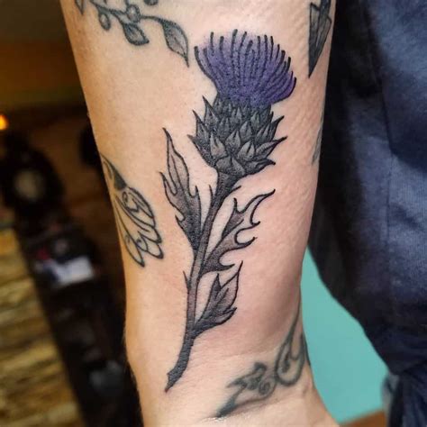 The following collection of top 65 thistle tattoo ideas are sure to help inspire your scottish roots for a new tattoo design. Top 65 Best Thistle Tattoo Ideas - 2021 Inspiration Guide