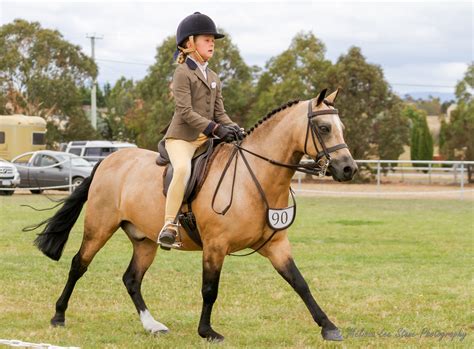 Longford Show Horse Show Equestrian Tasmania
