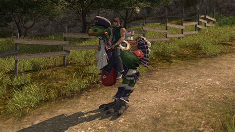 How To Get The Postmoogle Barding For Your Chocobo In Final Fantasy Xiv