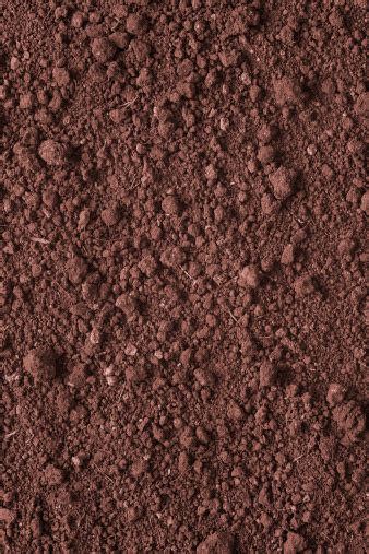 Dirt Background Stock Photo Download Image Now Istock