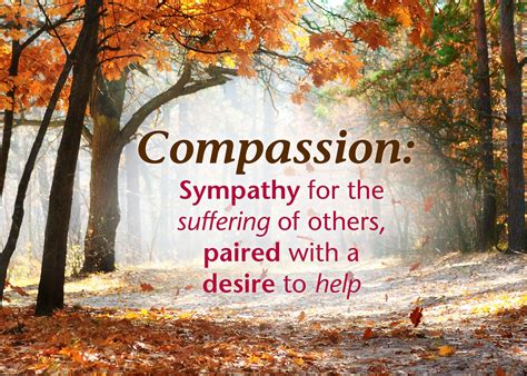 Compassion Sympathy For The Suffering Of Others Paired With The Desire
