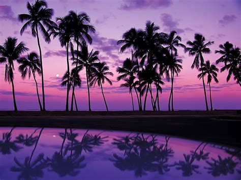 Hawaii Sunset Sunset Wallpaper Beach Sunset Wallpaper Purple Sunset