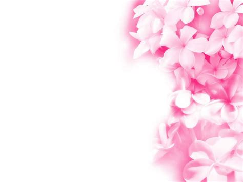Picture Of Pink Flowers Hd Desktop Wallpapers 4k Hd
