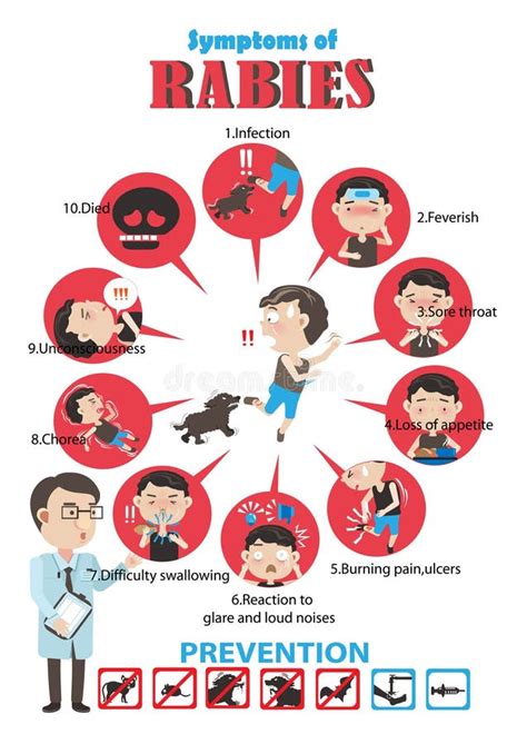 dangers of rabies stock vector illustration of infected 69511849