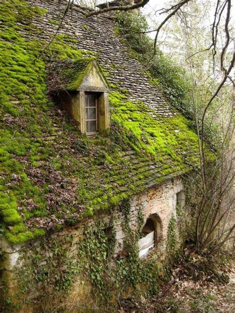 Moss Covered Scottish Cottage Ancient Houses Abandoned Houses