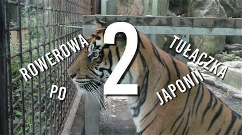 The rtpj seed (blue) and the left dlpfc seed (yellow) elicited connectivity activations (target regions) in the vmpfc and the pmfc (both in green), which partially overlapped with neural correlates of value signals in vmpfc and acc, as in fig. RTPJ 2.12: Jak nie zwiedzać zoo w Nagoyi - YouTube