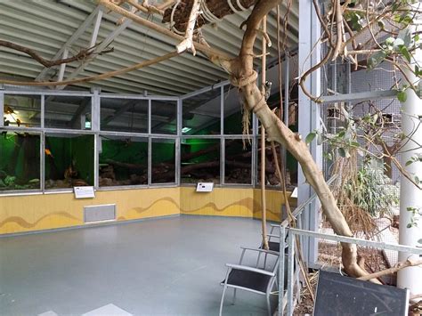 It is located on the berlin stadtbahn railway line in the charlottenburg district, adjacent to the berlin zoo. Savannenhaus (Zoologischer Garten Hof) | Der Beutelwolf-Blog