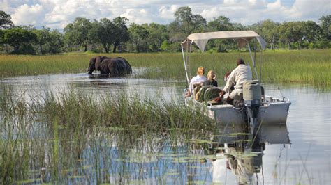 Best Time To Visit Botswana Botswana Safari Andbeyond