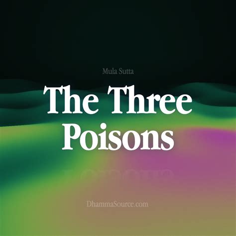 The Three Poisons Buddhism Dhamma Source