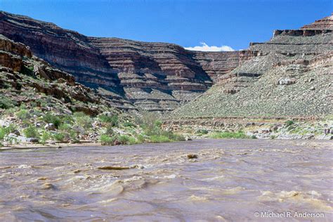 Rafting The San Juan River Anderson Viewpoint Photography