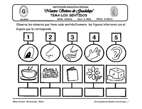 Tema Los Sentidos By Evelynabejitas Issuu