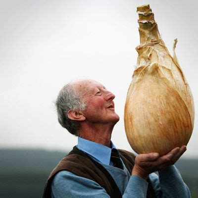 Browse 1,393 vegetables wheelbarrow stock photos and images available, or start a new search to explore more stock photos and images. 9 Jaw-Droppingly Huge Fruits and Vegetables - Diet and ...