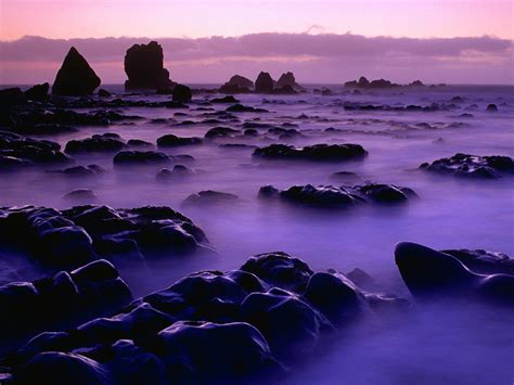 New Zealand Beautiful Natural Pics Top Web Pics