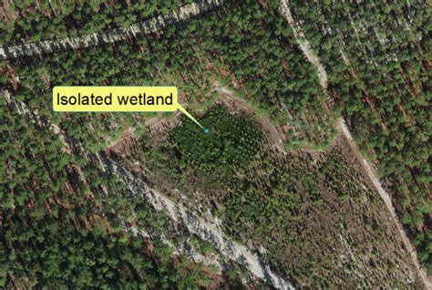 Mapping And Assessing Geographically Isolated Wetlands In The Southeast