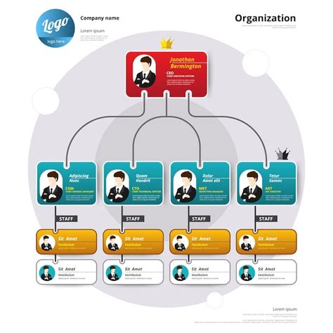 Organization Chart Coporate Structure Flow Of Organizational Vector