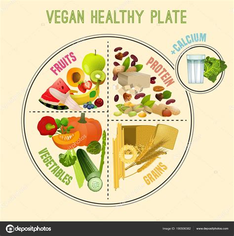 Healthy Eating Plate — Stock Vector © Annyart 190506382