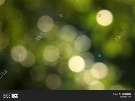 Details 100 Green Bokeh Background Abzlocalmx