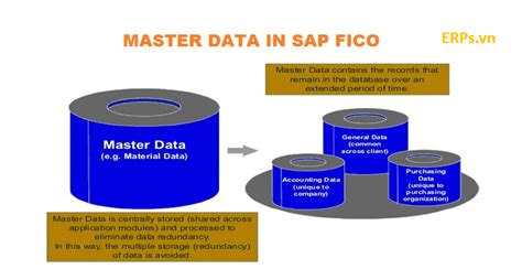 Master Data Là Gì Và định Nghĩa Master Data Trong Sap PhẦn MỀm QuẢn