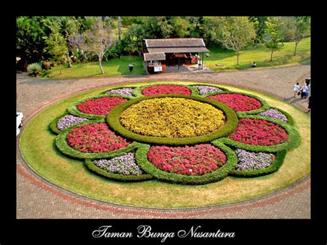 nature and culture indonesia flower garden archipelago